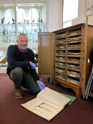 The Magnus Spence herbarium