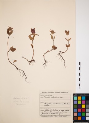 Selfheal