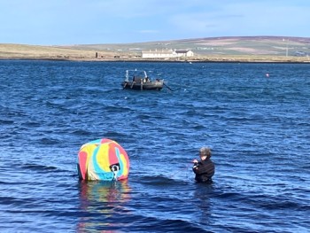 The floating sculpture floating in seawater beside a diver. 