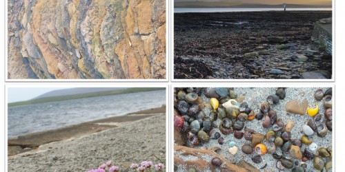 Four photographs in a collage - the first image depicts a close up of geology, the second show the hills of the island of Hoy as viewed from Stromness, the third photo shows flowers at the shore, and the final photograph shows a close up of shells on sand.